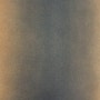 Maize