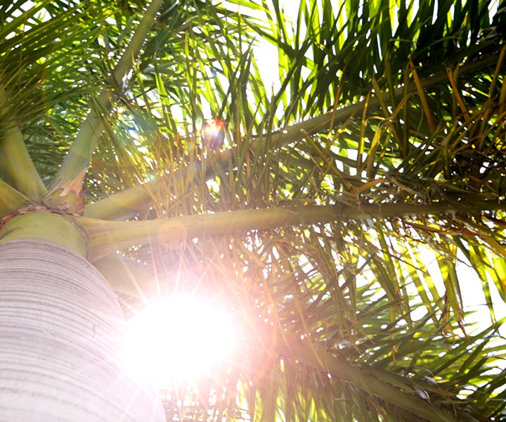 largo_photo