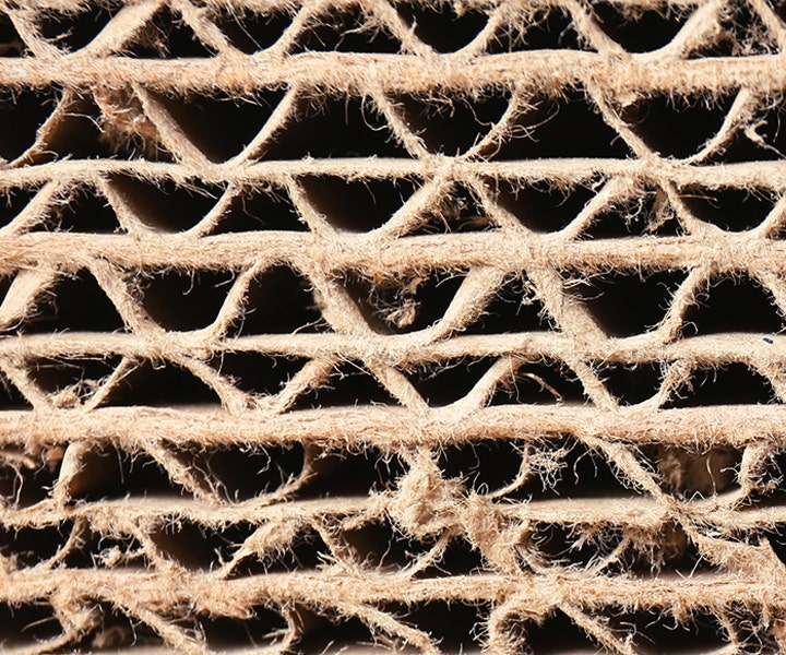 CARDBOARD